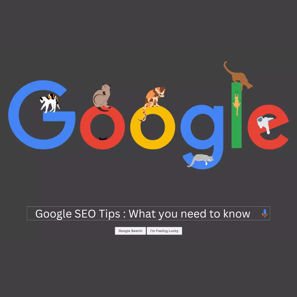 Google SEO Tips : What you need to know